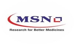 MSN Logo